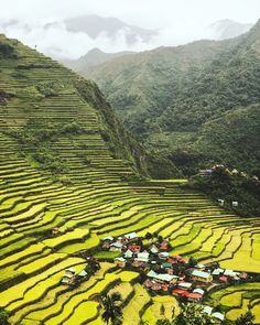 an aerial view of rice terraces in the mountains