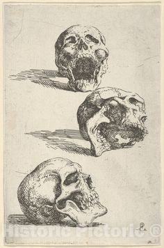 Art Print : Salvator Rosa - Three Human Skulls, Study for Democritus in Meditation : Vintage Wall Art Salvator Rosa, Human Skull, Caravaggio, Chiaroscuro, Anatomy Art, Skull Art, Vintage Wall Art, Vintage Wall, Metropolitan Museum Of Art