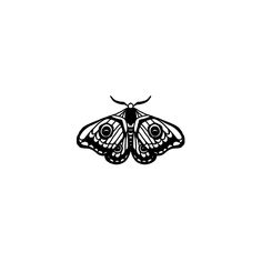 a black and white drawing of a moth