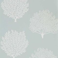 wallpaper with white corals on a pale blue background, including one in the foreground