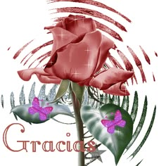 a pink rose with butterflies on it and the words gracias written in spanish