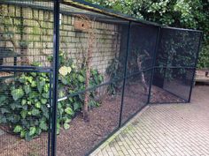 a fence that is next to a brick wall with plants growing on it and in front of the fence