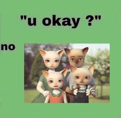 three cats are standing next to each other with the caption'u okay? '