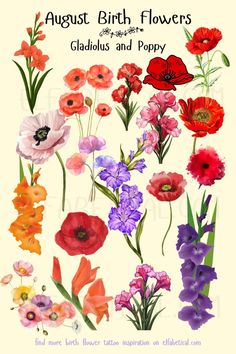 an image of flowers with the words august birth flowers gladiolus and poppy on it