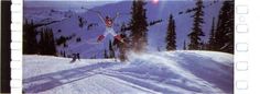 a postage stamp with a person skiing on the snow and trees in the back ground