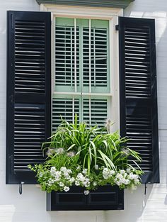 a window with black shutters and white flowers