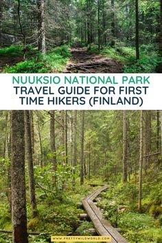 the nuuksi national park travel guide for first time hikers finland