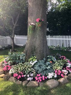 a tree with pink and white flowers around it