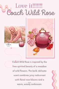 Coach Fragrance, Perfume Notes, Coach Floral, Perfume Floral, Rose Perfume, Bulgarian Rose, Blooming Rose, Fragrance Collection, Wild Rose