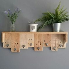 a wooden shelf with several hooks on it and two potted plants next to it