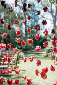 red flowers hanging from strings in the grass