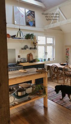 a dog is standing in the middle of a kitchen with wooden flooring and open shelving