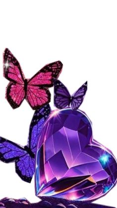 Butterfly Wallpaper