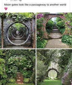 four different pictures of an outdoor garden with flowers and plants on the sides, one is in