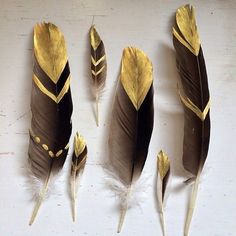 four feathers with gold and white designs on them are lined up against a white wall