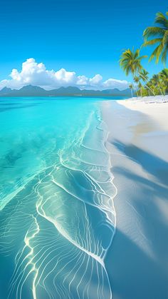 an image of the ocean and beach with palm trees