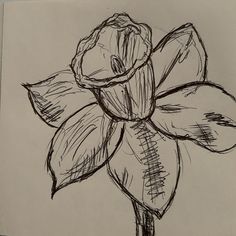 a pencil drawing of a flower on a piece of paper