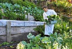 a man in white jacket standing next to a garden filled with lots of green plants