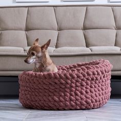 a small dog sitting in a large pink knitted basket on the floor next to a couch