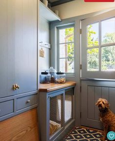 a dog sitting on the floor in front of an open kitchen door and looking out