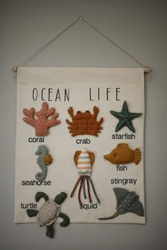 an ocean life sign hanging on the wall with sea animals and other items attached to it