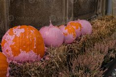 some pumpkins that are sitting in the grass next to each other and have been painted pink