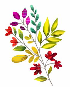 an image of colorful leaves on a white background