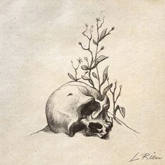 a pencil drawing of a skull with flowers on its head and branches sticking out of it