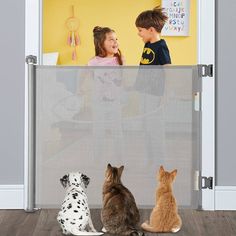 three cats and two dogs sitting in front of a child's room with a screen door