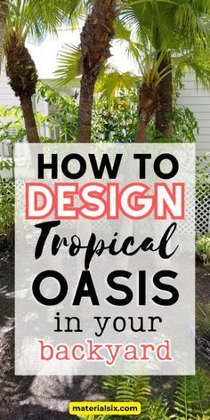 a palm tree with text overlaying how to design tropical oasis in your backyard