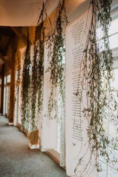 some plants are hanging on the wall