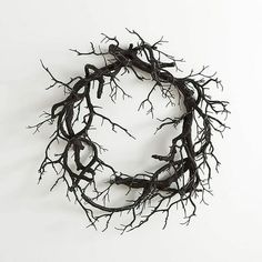 a wreath made out of branches on a white background