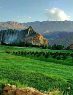 a green field with mountains in the background