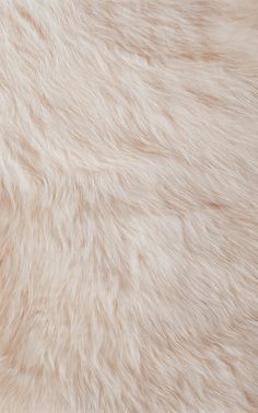 an animal fur textured with white colors