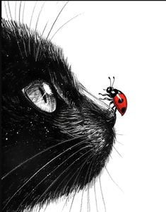 a black cat with a ladybug on its nose looking at it's face