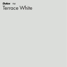 the cover of terrace white's album