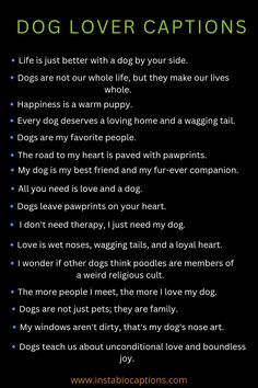 Looking for the perfect captions for dog lovers? Discover the best dog lover captions that capture the bond between humans and their furry friends. Whether you're posting a cute dog photo or sharing your love for dogs, these captions will make your posts stand out. Find the perfect words to express your affection for man's best friend and engage fellow dog enthusiasts. Dog Instagram Account Name Ideas, Dog Posts Instagram Captions, Dog Photo Captions Instagram, Caption For Dogs Instagram Post, Puppy Quotes For Instagram