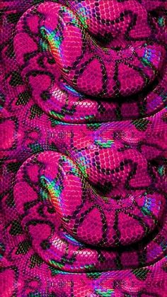 pink and green snake skin with black background