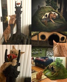 there are four pictures of cats playing in the house and on the cat treehouse