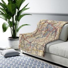 a couch sitting next to a potted plant on top of a blue and white rug