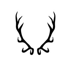 the antlers are black and white in color