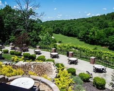 an outdoor dining area with tables and chairs in the foreground, surrounded by lush green trees