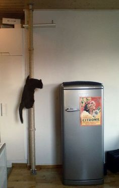 a black cat standing on top of a metal trash can next to a white wall