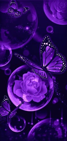 purple roses and butterflies are floating in bubbles