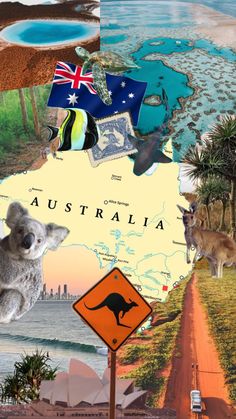 there is a collage of australia with kangaroos, koala and other animals