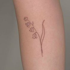 290+ Best Lily of the Valley Tattoo Designs With Meanings (2022) - TattoosBoyGirl Lily Of The Valley Tattoo Dainty, Single Line Lily Of The Valley Tattoo, Lily Of The Valley One Line Tattoo, One Line Lily Of The Valley, Lily Of The Valley Tattoo Small Simple, Lily Of The Valley Tattoo Line Art, Line Art Lily Of The Valley, Delicate Inner Arm Tattoo, Lily Or The Valley Tattoo