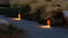 some lights that are sitting in the grass