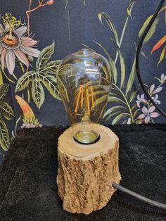 a light bulb sitting on top of a tree stump