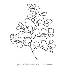 a black and white drawing of a leafy plant