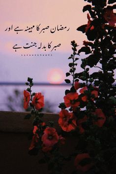 the sun is setting behind some red flowers in front of a body of water with arabic writing on it